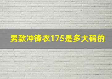 男款冲锋衣175是多大码的