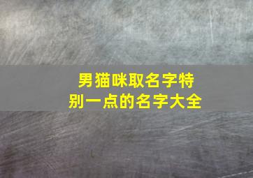 男猫咪取名字特别一点的名字大全