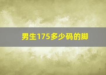 男生175多少码的脚