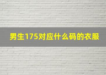 男生175对应什么码的衣服