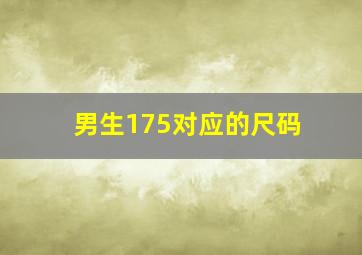 男生175对应的尺码