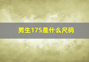 男生175是什么尺码