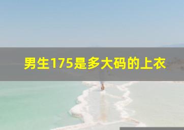 男生175是多大码的上衣