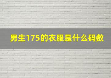 男生175的衣服是什么码数