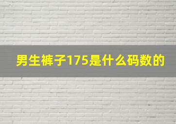 男生裤子175是什么码数的