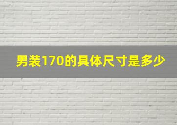 男装170的具体尺寸是多少