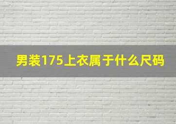 男装175上衣属于什么尺码