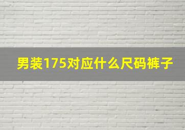 男装175对应什么尺码裤子