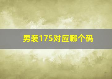 男装175对应哪个码