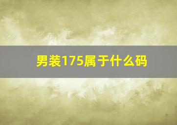 男装175属于什么码