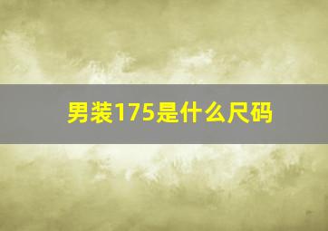 男装175是什么尺码