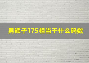 男裤子175相当于什么码数