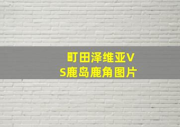 町田泽维亚VS鹿岛鹿角图片