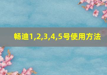 畅迪1,2,3,4,5号使用方法