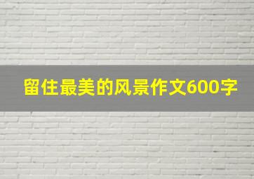 留住最美的风景作文600字