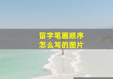 留字笔画顺序怎么写的图片