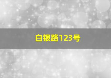 白银路123号