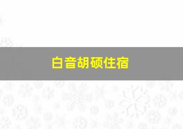 白音胡硕住宿