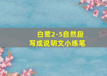 白鹭2-5自然段写成说明文小练笔