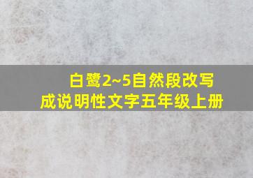 白鹭2~5自然段改写成说明性文字五年级上册