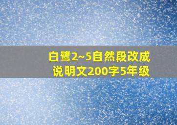 白鹭2~5自然段改成说明文200字5年级