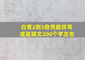 白鹭2到5自然段改写成说明文200个字左右