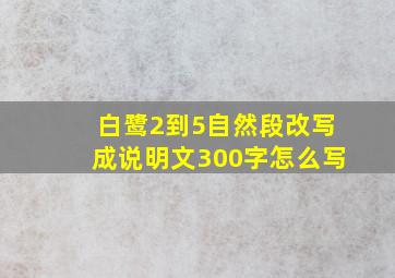 白鹭2到5自然段改写成说明文300字怎么写