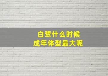 白鹭什么时候成年体型最大呢