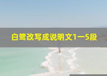 白鹭改写成说明文1一5段