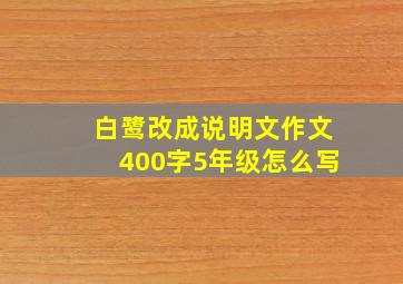 白鹭改成说明文作文400字5年级怎么写