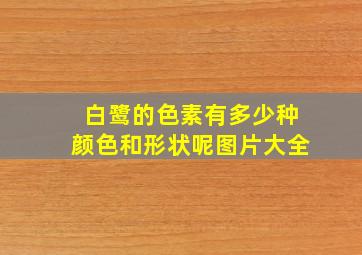 白鹭的色素有多少种颜色和形状呢图片大全