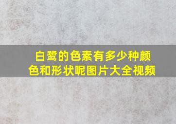 白鹭的色素有多少种颜色和形状呢图片大全视频