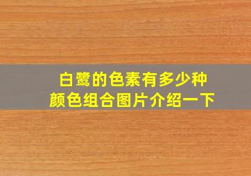 白鹭的色素有多少种颜色组合图片介绍一下