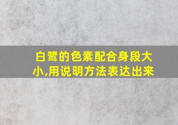 白鹭的色素配合身段大小,用说明方法表达出来