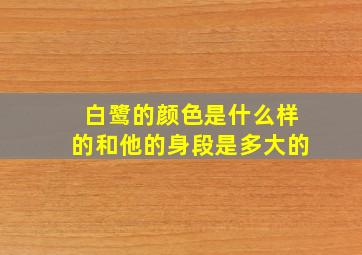 白鹭的颜色是什么样的和他的身段是多大的