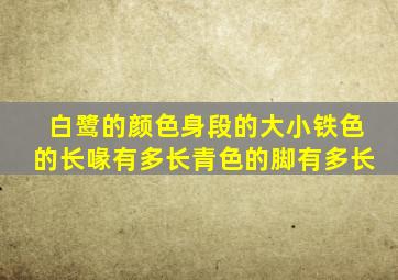 白鹭的颜色身段的大小铁色的长喙有多长青色的脚有多长