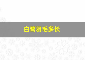 白鹭羽毛多长