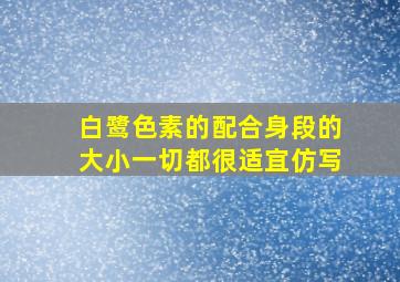 白鹭色素的配合身段的大小一切都很适宜仿写