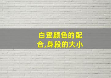 白鹭颜色的配合,身段的大小