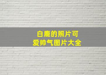 白鹿的照片可爱帅气图片大全