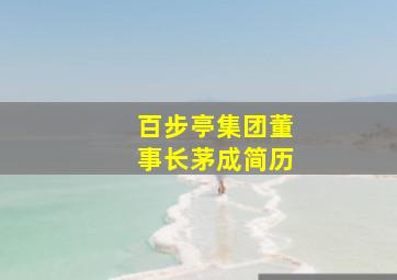 百步亭集团董事长茅成简历