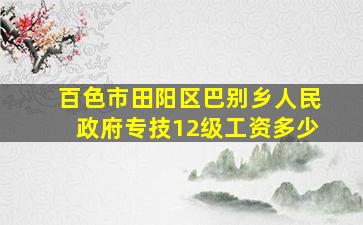 百色市田阳区巴别乡人民政府专技12级工资多少