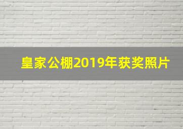 皇家公棚2019年获奖照片