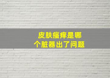 皮肤瘙痒是哪个脏器出了问题