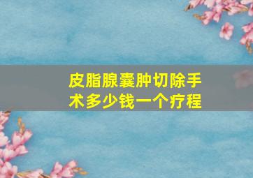 皮脂腺囊肿切除手术多少钱一个疗程