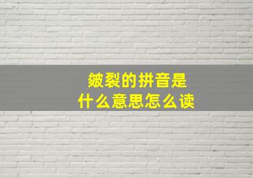 皴裂的拼音是什么意思怎么读