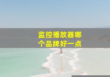 监控播放器哪个品牌好一点