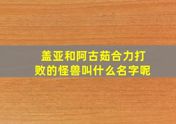 盖亚和阿古茹合力打败的怪兽叫什么名字呢