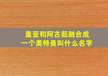 盖亚和阿古茹融合成一个奥特曼叫什么名字