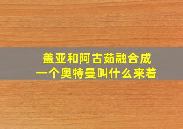 盖亚和阿古茹融合成一个奥特曼叫什么来着